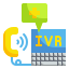 IVR System